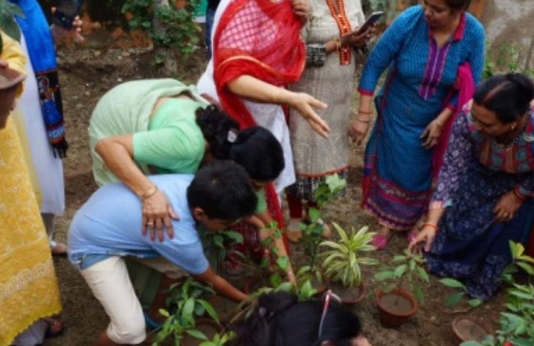 Social Welfare for Masses at Amazing Seniors